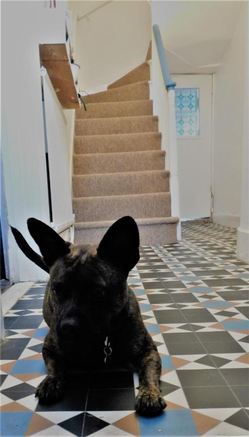 The Bear Bread Bakery B&B, Ensuite Rooms Above The Bakery, Colyton Extérieur photo