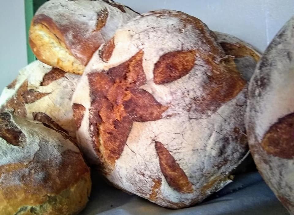The Bear Bread Bakery B&B, Ensuite Rooms Above The Bakery, Colyton Extérieur photo